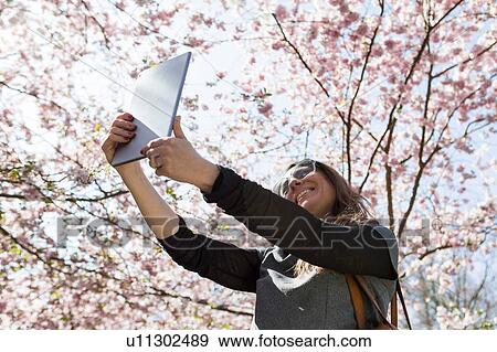 Mature woman taking digital tablet selfie in front of cherry blossom View Large Photo Image Stock Photo - Mature woman taking digital tablet selfie in front of cherry blossom. Fotosearch