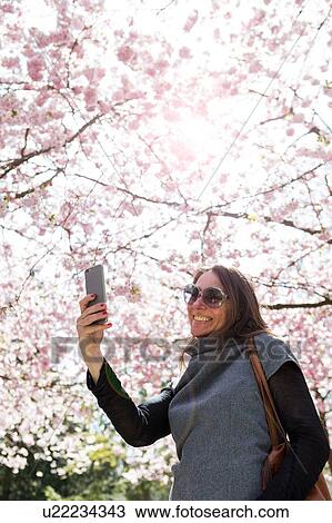 Stock Image - Mature woman taking smartphone selfie in front of cherry blossom. Fotosearch