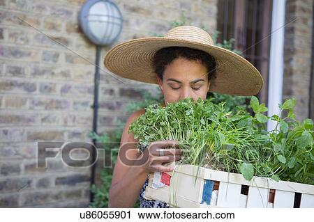 Stock Image - "Mid adult woman, outdoors, smelling box of fresh herbs". Fotosearch