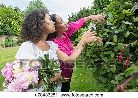 Mother and grown daughter in garden together View Large Photo Image Stock Image - Mother and grown daughter in garden together. Fotosearch
