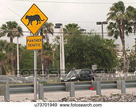 Stock Photo - "Panther crossing warning sign along a roadway, Naples, Florida, USA". Fotosearch