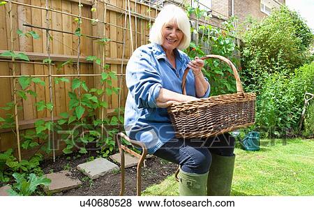 Portrait of senior woman sitting in garden holding wicker basket View Large Photo Image Stock Photo - Portrait of senior woman sitting in garden holding wicker basket. Fotosearch
