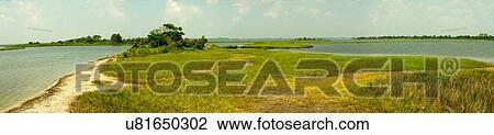 Stock Image - "Salt marsh at Assateague Island National Seashore, Maryland". Fotosearch