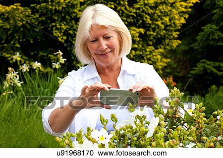 "Senior woman taking photograph of flower in garden, using smartphone" View Large Photo Image Stock Image - "Senior woman taking photograph of flower in garden, using smartphone". Fotosearch