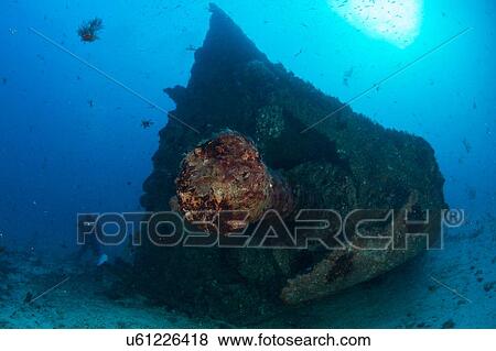 "Silhouetted diver exploring unknown wreck, Cancun, Quintana Roo, Mexico" View Large Photo Image Stock Photo - "Silhouetted diver exploring unknown wreck, Cancun, Quintana Roo, Mexico". Fotosearch
