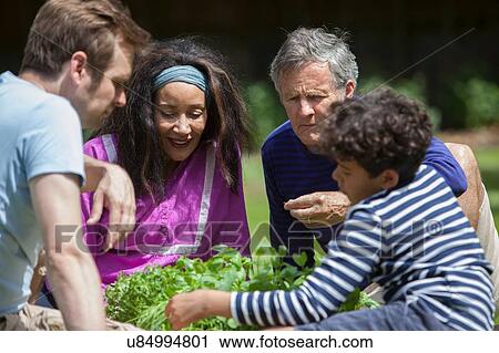 Three generation family in garden View Large Photo Image Stock Image - Three generation family in garden. Fotosearch
