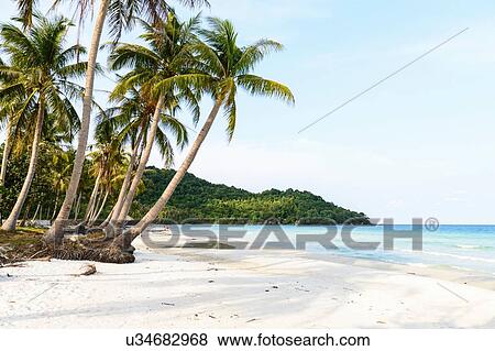 Stock Photo - "View of Sao beach and palm trees, Pho Quoc, Vietnam". Fotosearch