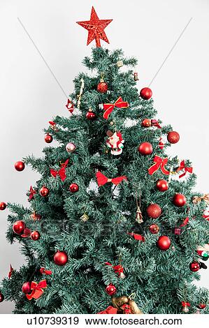 Stock Photo - Christmas tree. Fotosearch