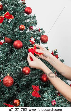 Happy woman putting a bow in the christmas tree View Large Photo Image Stock Image - Happy woman putting a bow in the christmas tree. Fotosearch