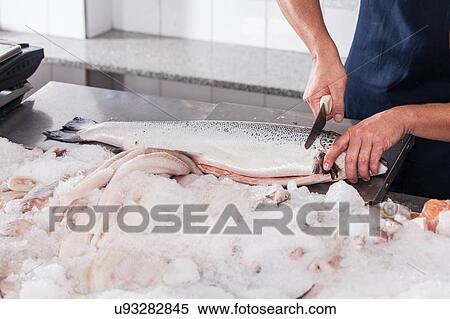 Man cutting a pink salmon on the table View Large Photo Image Stock Photography - Man cutting a pink salmon on the table. Fotosearch