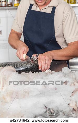 Man cutting pink salmon View Large Photo Image Stock Image - Man cutting pink salmon. Fotosearch