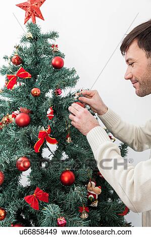 Man decorating the christmas tree View Large Photo Image Stock Photo - Man decorating the christmas tree. Fotosearch
