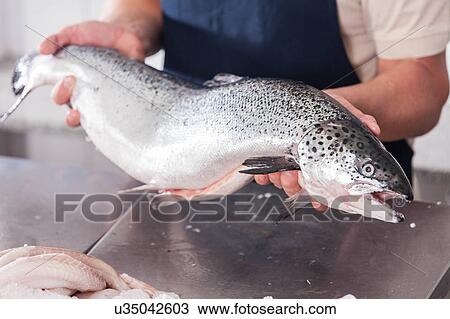 Man holding a fish View Large Photo Image Stock Image - Man holding a fish. Fotosearch