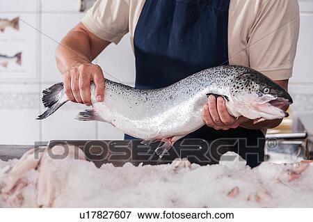 Man holding a pink salmon View Large Photo Image Stock Photo - Man holding a pink salmon. Fotosearch
