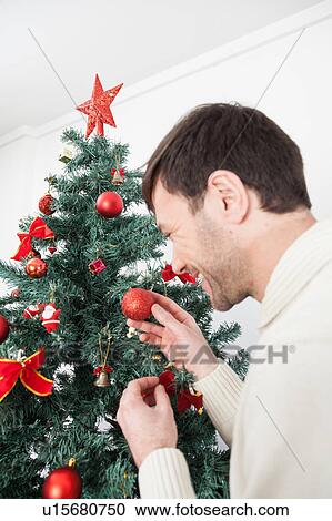 Man putting balls in the christmas tree View Large Photo Image Stock Image - Man putting balls in the christmas tree. Fotosearch