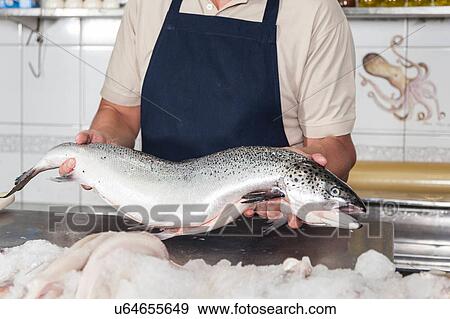 Seller holding a pink salmon View Large Photo Image Stock Photo - Seller holding a pink salmon. Fotosearch