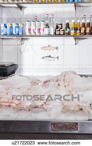 The fish market View Large Photo Image Stock Image - The fish market. Fotosearch