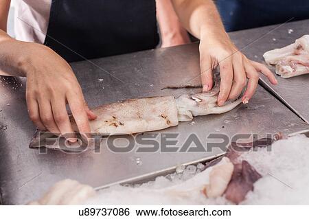 Woman cutting a squid View Large Photo Image Stock Photograph - Woman cutting a squid. Fotosearch