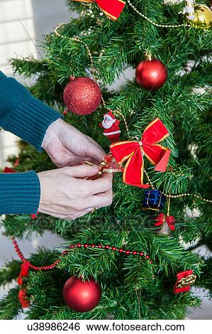 Woman decorating a tree View Large Photo Image Stock Photograph - Woman decorating a tree. Fotosearch