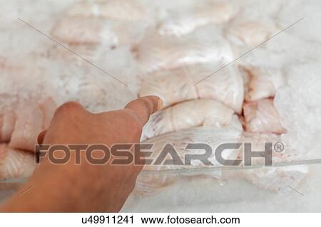 Stock Image - Woman pointing hake fillet. Fotosearch