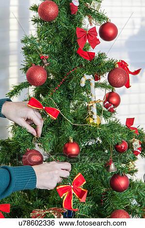 Stock Photograph - Woman putting a garland in the christmas tree. Fotosearch