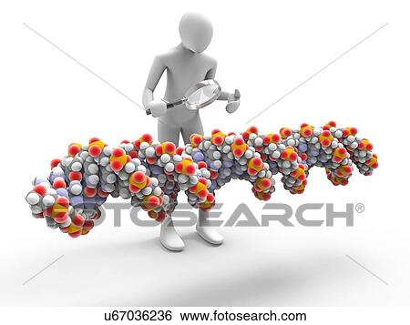 Stock Illustration - 3d man inspecting a DNA chain with a magnifying glass.. Fotosearch