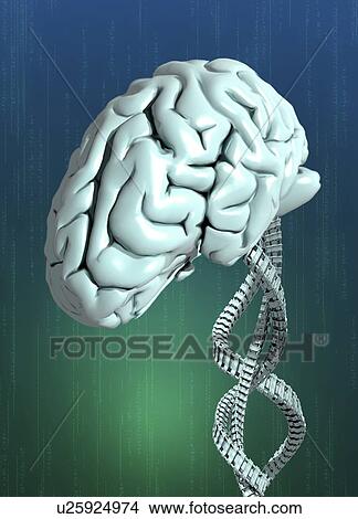 "Artificial intelligence, conceptual illustration. " View Large Illustration Stock Illustration - "Artificial intelligence, conceptual illustration. ". Fotosearch
