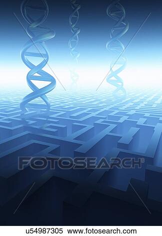 Stock Illustration - "Deoxyribonucleic acid (DNA) strands, computer illustration. ". Fotosearch