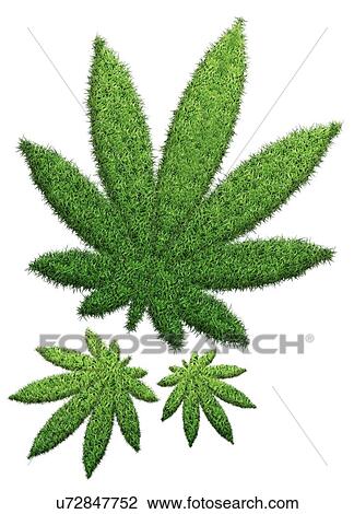 "Hemp leaves made from grass, computer illustration. " View Large Illustration Drawing - "Hemp leaves made from grass, computer illustration. ". Fotosearch
