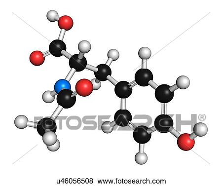 "N-acetyl-tyrosine (NALT) molecule. Acetylated form of the amino acid tyrosine. Atoms are represented as spheres with conventional colour coding: hydrogen (white), carbon (black), oxygen (red), nitrogen (blue). " View Large Illustration Stock Illustration - "N-acetyl-tyrosine (NALT) molecule. Acetylated form of the amino acid tyrosine. Atoms are represented as spheres with conventional colour coding: hydrogen (white), carbon (black), oxygen (red), nitrogen (blue). ". Fotosearch