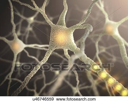 Stock Illustration - "Nerve cell, computer illustration. ". Fotosearch