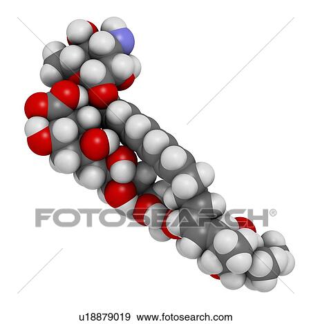 "Nystatin antifungal drug molecule. Used in treatment of Candida infections. Atoms are represented as spheres with conventional colour coding: hydrogen (white), carbon (grey), oxygen (red), nitrogen (blue). " View Large Illustration Stock Illustration - "Nystatin antifungal drug molecule. Used in treatment of Candida infections. Atoms are represented as spheres with conventional colour coding: hydrogen (white), carbon (grey), oxygen (red), nitrogen (blue). ". Fotosearch