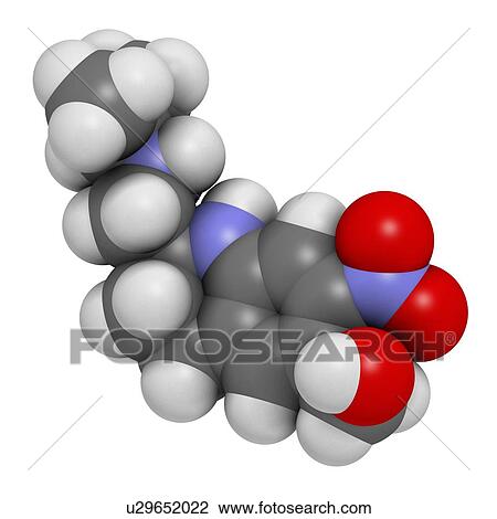 "Oxamniquine anthelmintic drug molecule. Used to treat Schistosoma mansoni infections. Atoms are represented as spheres with conventional colour coding: hydrogen (white), carbon (grey), oxygen (red), nitrogen (blue). " View Large Illustration Drawing - "Oxamniquine anthelmintic drug molecule. Used to treat Schistosoma mansoni infections. Atoms are represented as spheres with conventional colour coding: hydrogen (white), carbon (grey), oxygen (red), nitrogen (blue). ". Fotosearch