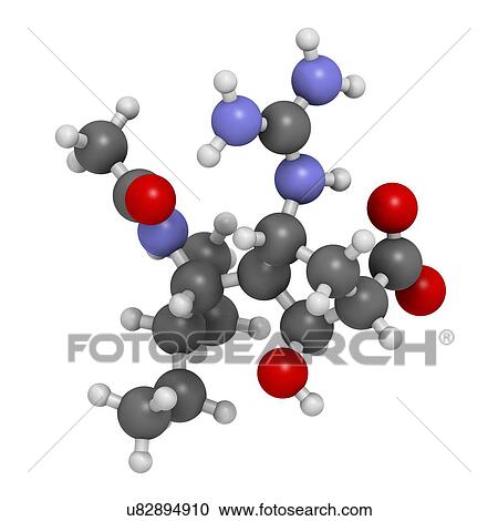 Clipart - "Peramivir influenza drug molecule (neuraminidase inhibitor). Atoms are represented as spheres with conventional colour coding: hydrogen (white), carbon (grey), oxygen (red), nitrogen (blue). ". Fotosearch