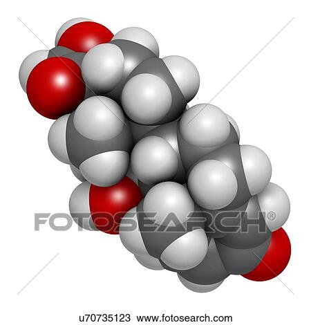 "Prednisolone corticosteroid drug molecule. Atoms are represented as spheres with conventional colour coding: hydrogen (white), carbon (grey), oxygen (red). " View Large Illustration Drawing - "Prednisolone corticosteroid drug molecule. Atoms are represented as spheres with conventional colour coding: hydrogen (white), carbon (grey), oxygen (red). ". Fotosearch
