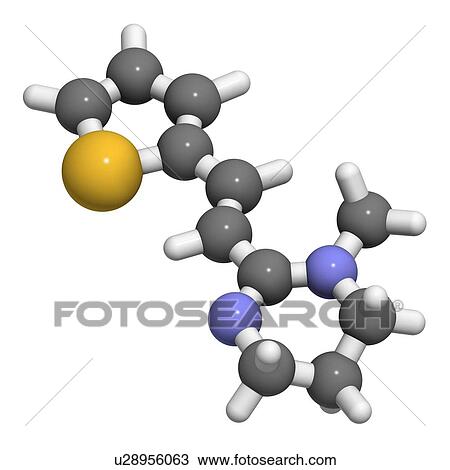 Drawing - "Pyrantel antinematodal drug molecule. Used to threat nematode (roundworm) parasite infections. Atoms are represented as spheres with conventional colour coding: hydrogen (white), carbon (grey), sulfur (yellow), nitrogen (blue). ". Fotosearch