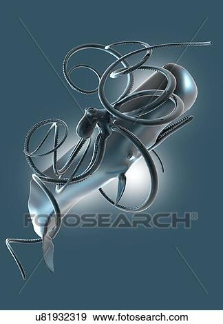 Stock Illustration - "Sea creatures, computer illustration. ". Fotosearch