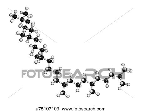 "Squalane molecule. Saturated compound, derived from squalene. Used in cosmetics as emollient and moisturizer. Atoms are represented as spheres with conventional colour coding: hydrogen (white). " View Large Illustration Stock Illustration - "Squalane molecule. Saturated compound, derived from squalene. Used in cosmetics as emollient and moisturizer. Atoms are represented as spheres with conventional colour coding: hydrogen (white). ". Fotosearch