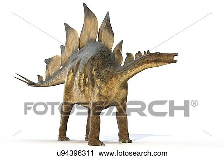 "Stegosaur dinosaur, computer illustration. " View Large Illustration Clip Art - "Stegosaur dinosaur, computer illustration. ". Fotosearch