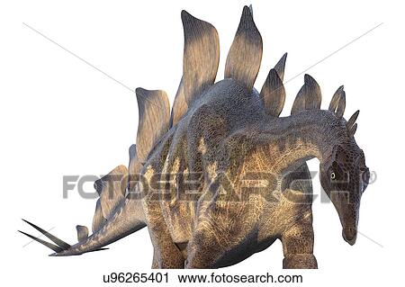 Clip Art - "Stegosaur dinosaur, computer illustration. ". Fotosearch