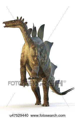 "Stegosaur dinosaur, computer illustration. " View Large Illustration Clipart - "Stegosaur dinosaur, computer illustration. ". Fotosearch