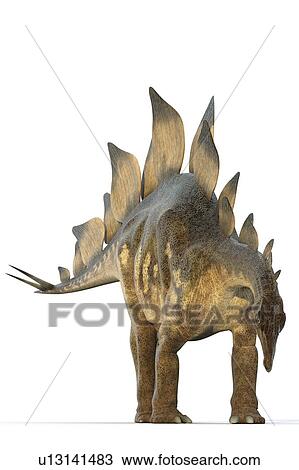 "Stegosaur dinosaur, computer illustration. " View Large Illustration Drawing - "Stegosaur dinosaur, computer illustration. ". Fotosearch
