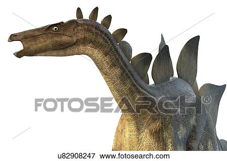 "Stegosaur dinosaur, computer illustration. " View Large Illustration Stock Illustration - "Stegosaur dinosaur, computer illustration. ". Fotosearch