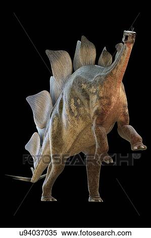 Stock Illustration - "Stegosaur dinosaur, computer illustration. ". Fotosearch