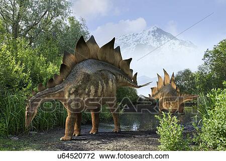"Stegosaur dinosaurs, computer illustration. " View Large Illustration Drawing - "Stegosaur dinosaurs, computer illustration. ". Fotosearch