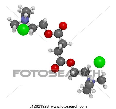 "Suxamethonium chloride (succinylcholine) muscle relaxant drug molecule. Atoms are represented as spheres with conventional colour coding: hydrogen (white), carbon (grey), oxygen (red), nitrogen (blue), chlorine (green). " View Large Illustration Drawing - "Suxamethonium chloride (succinylcholine) muscle relaxant drug molecule. Atoms are represented as spheres with conventional colour coding: hydrogen (white), carbon (grey), oxygen (red), nitrogen (blue), chlorine (green). ". Fotosearch