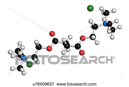 Stock Illustration - "Suxamethonium chloride (succinylcholine) muscle relaxant drug molecule. Atoms are represented as spheres with conventional colour coding: hydrogen (white), carbon (black), oxygen (red), nitrogen (blue), chlorine (green). ". Fotosearch