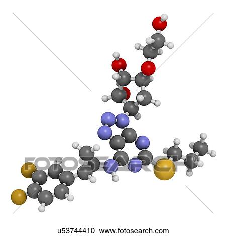 Clipart - "Ticagrelor platelet inhibitor drug. Used to prevent thrombosis. Atoms are represented as spheres with conventional colour coding: hydrogen (white), carbon (grey), oxygen (red), nitrogen (blue), sulfur (yellow), fluorine (gold). ". Fotosearch