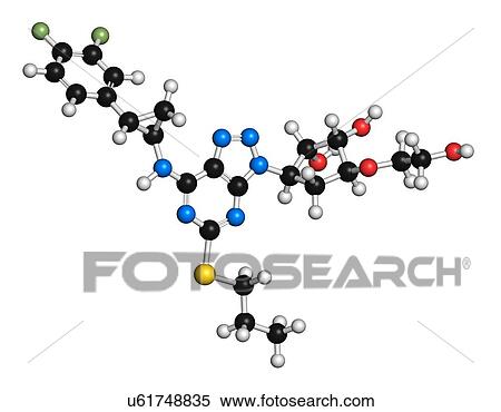 Stock Illustration - "Ticagrelor platelet inhibitor drug. Used to prevent thrombosis. Atoms are represented as spheres with conventional colour coding: hydrogen (white), carbon (black), oxygen (red), nitrogen (blue), sulfur (yellow), fluorine (light green). ". Fotosearch