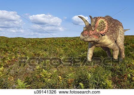 Stock Illustration - "Triceratops dinosaur, computer illustration. ". Fotosearch